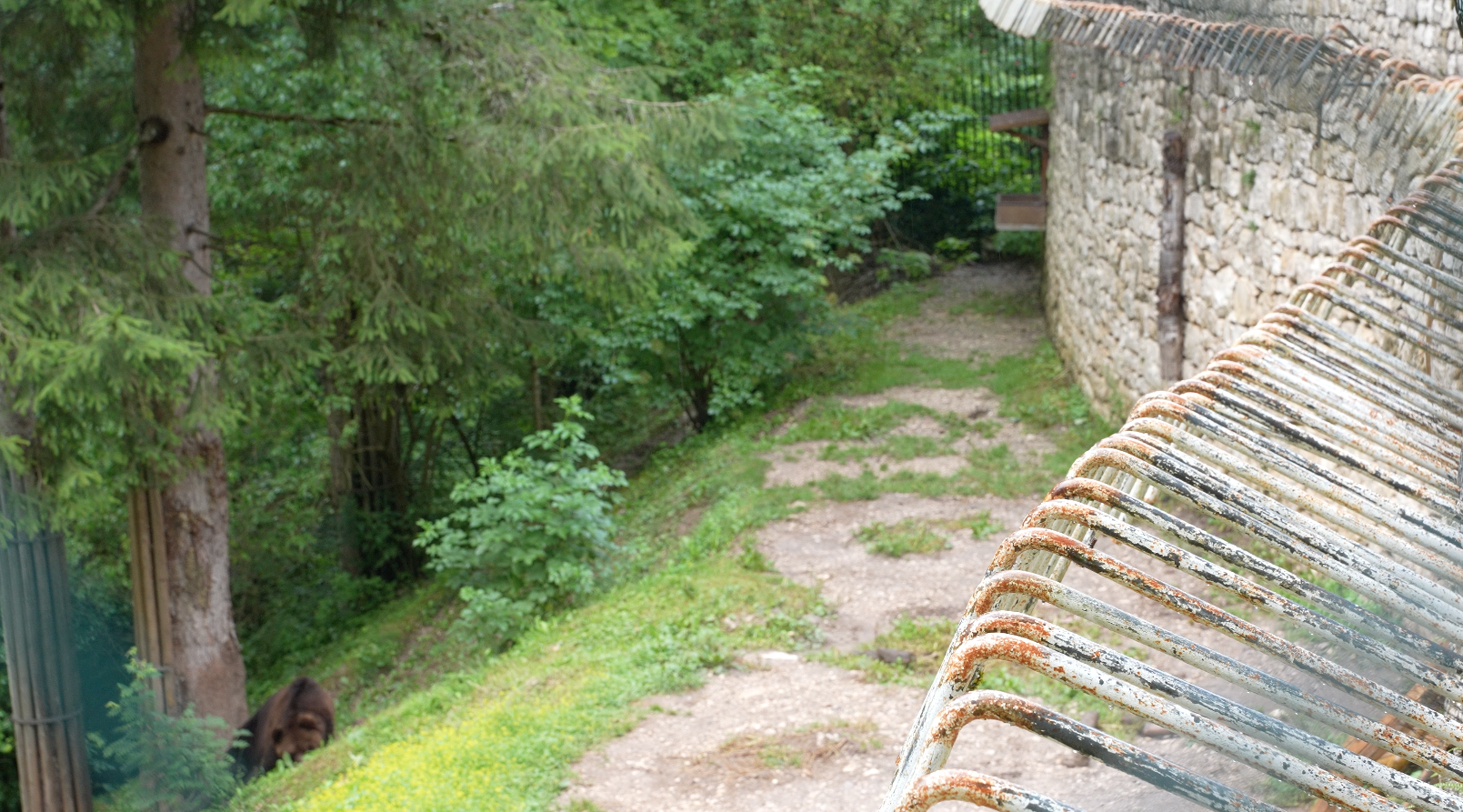 San Remedio bear pit. /CGTN Europe