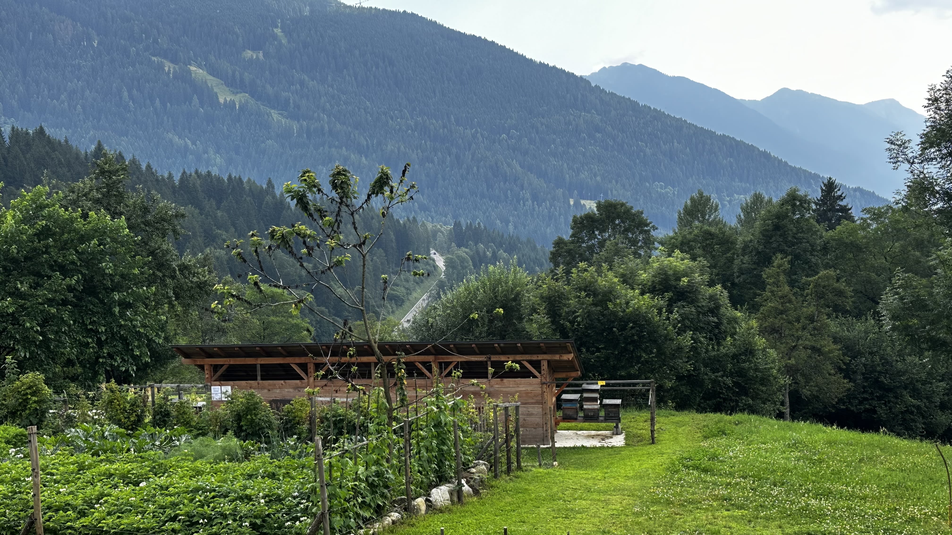 Beehives, Rendena valley, Trentino. /CGTN Europe