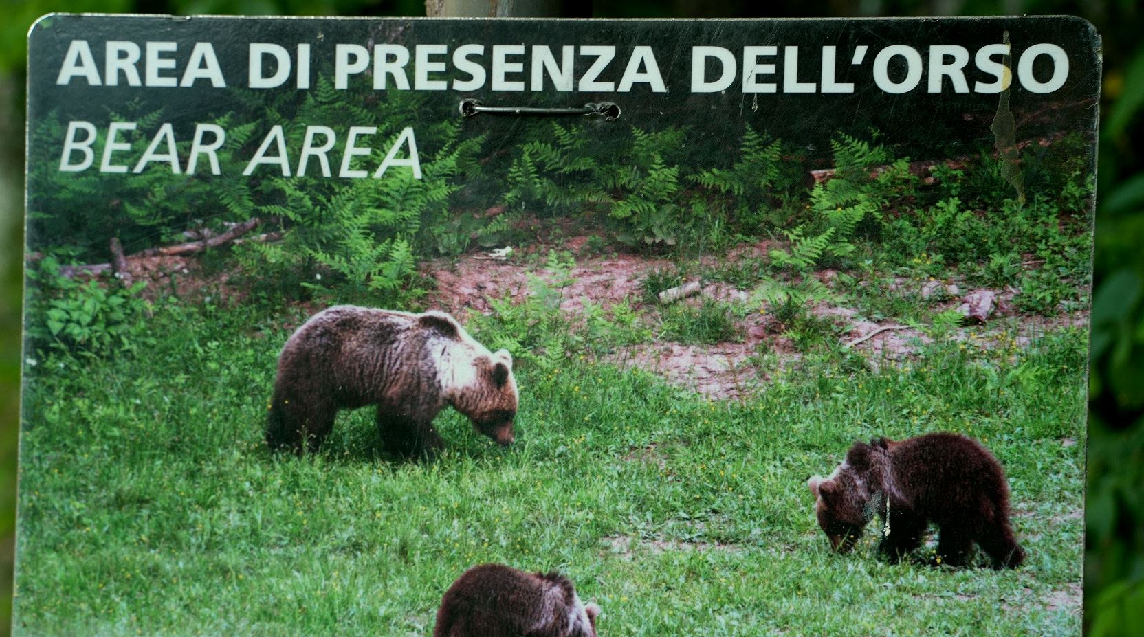 Bear warning signs, Adamello Brento National Park. /CGTN Europe
