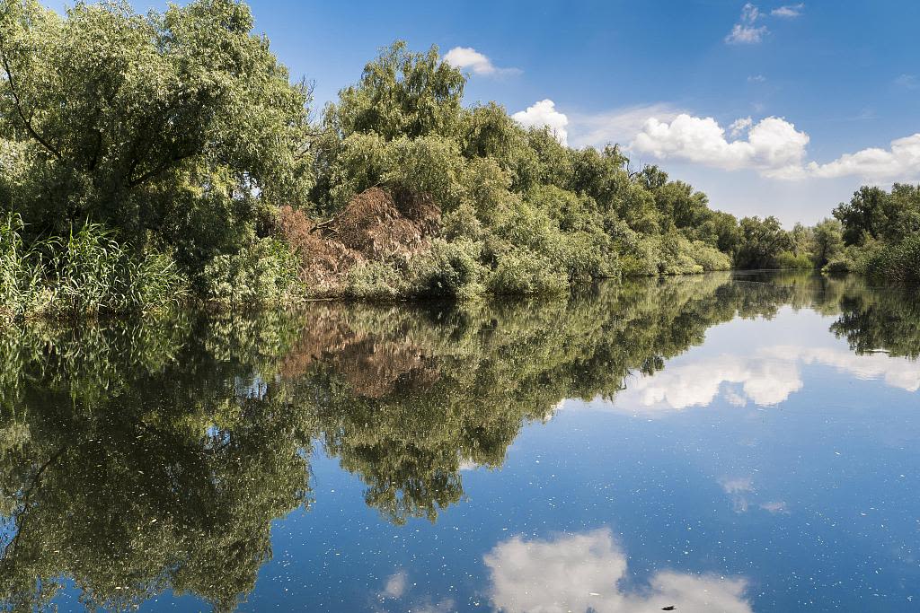 The Danube Delta, the largest river delta wetland in Europe, where Rewilding Europe is focusing its efforts. 