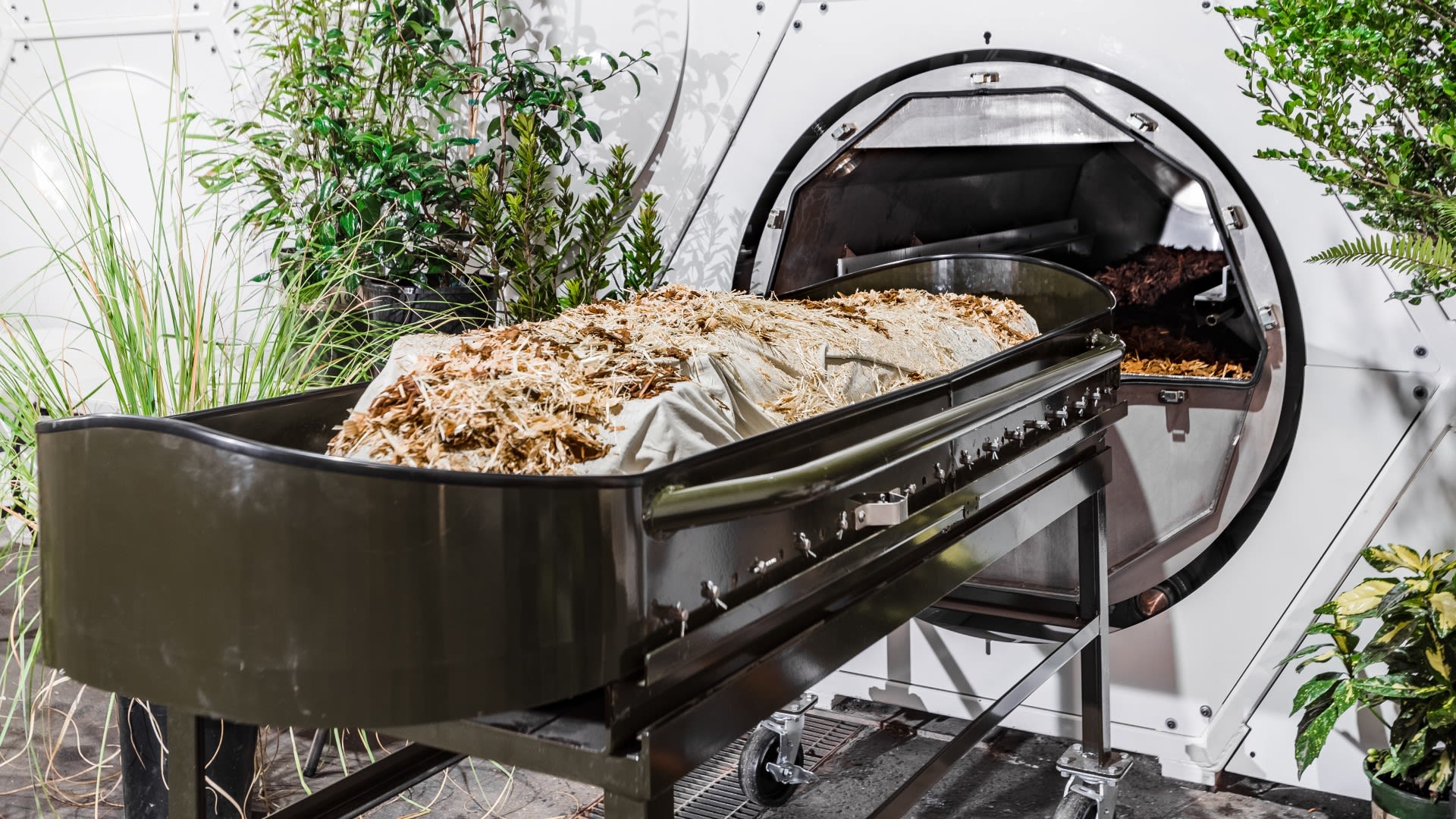 The body is stashed away with wood chips, alfalfa and straw.