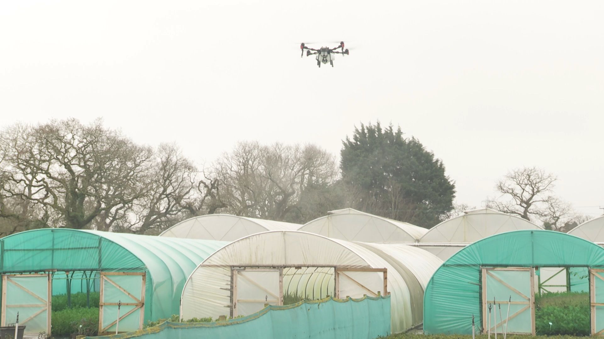 An Autospray drone flies over polythene tunnels to clean them. 