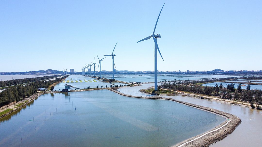 A wind farm in southeastern China's Fujian Province, March 8, 2022.