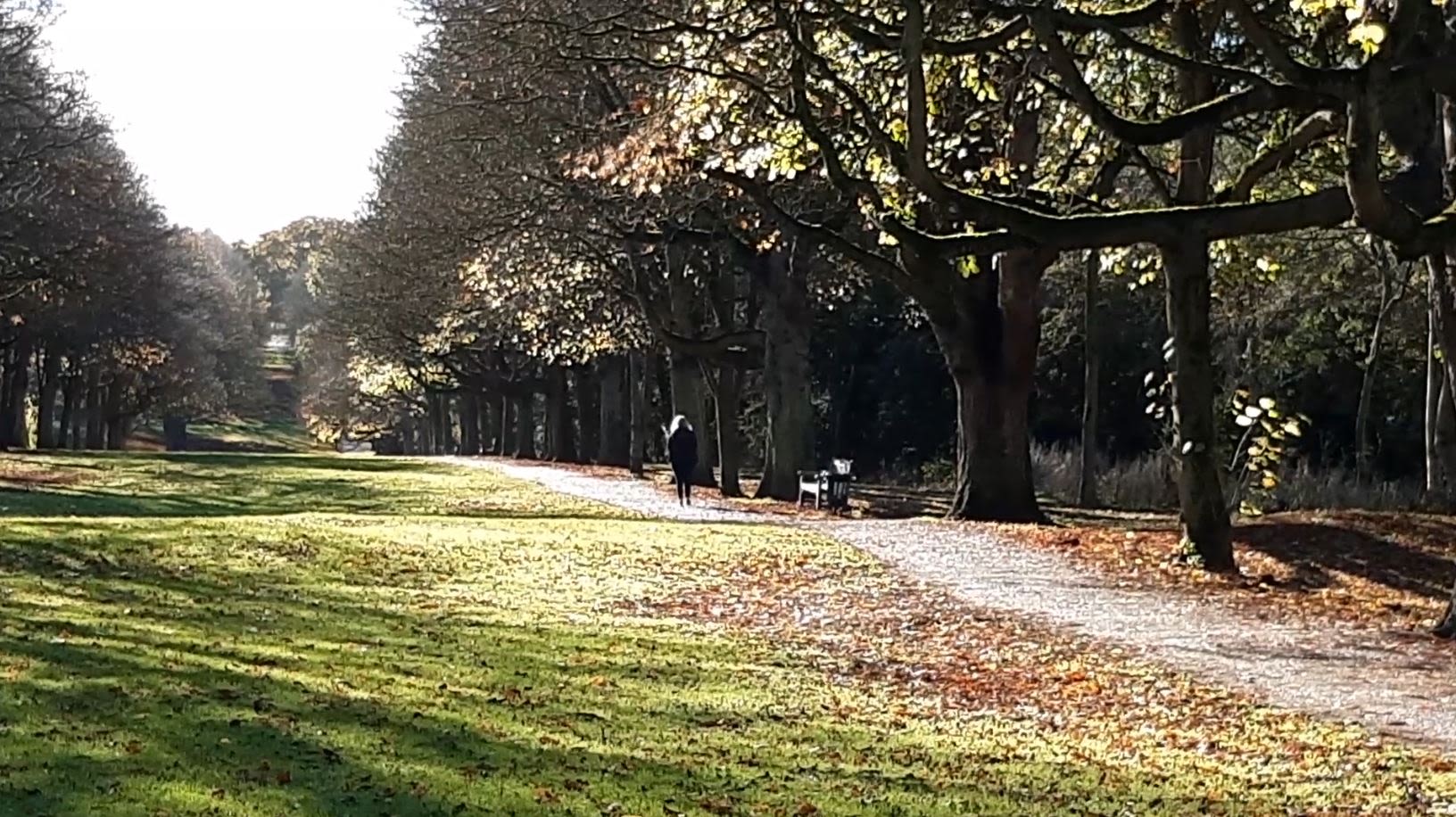Garden cities were built around a greenbelt of countryside. /Brookes