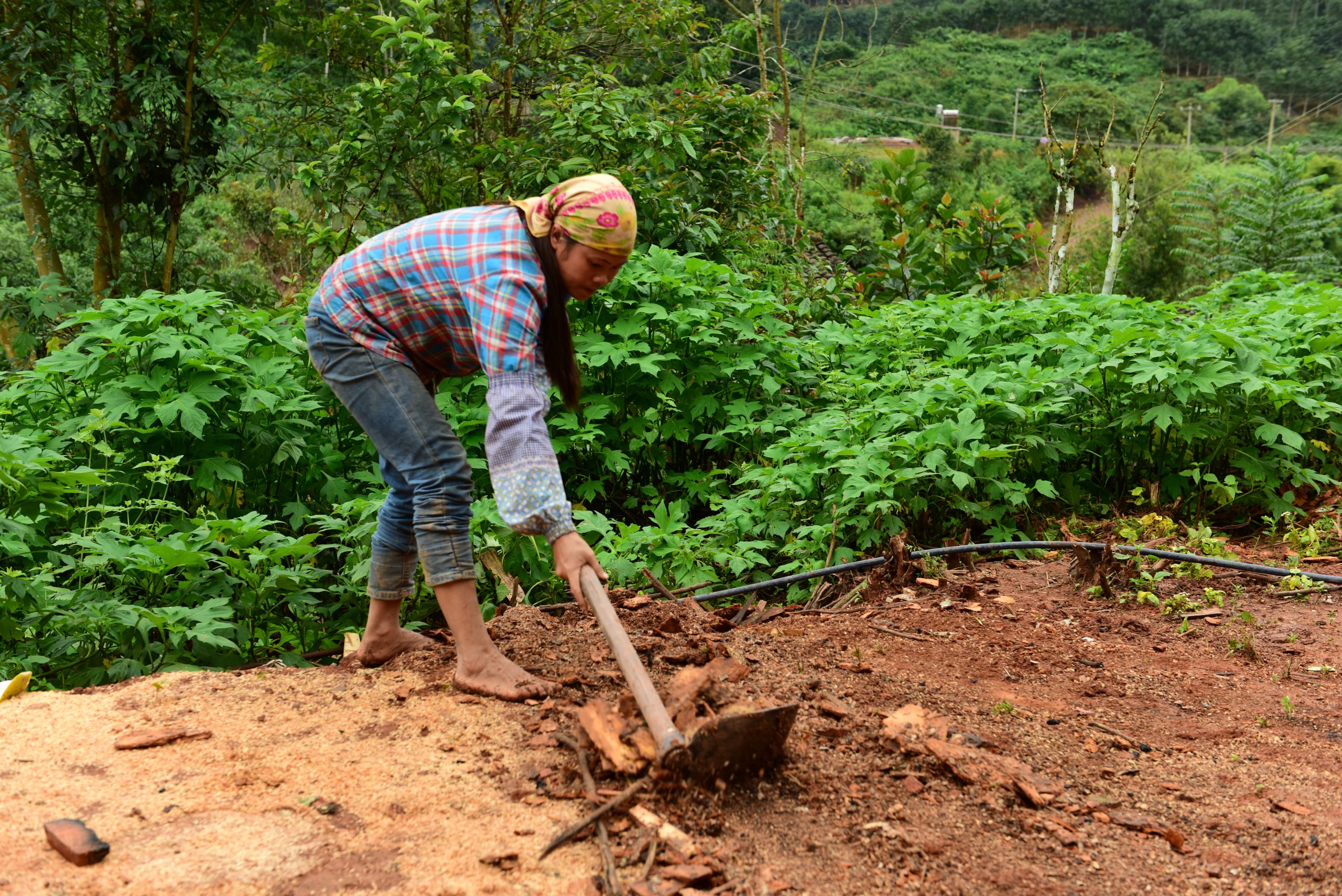 New developments have helped Hebian villagers to diversify their incomes.