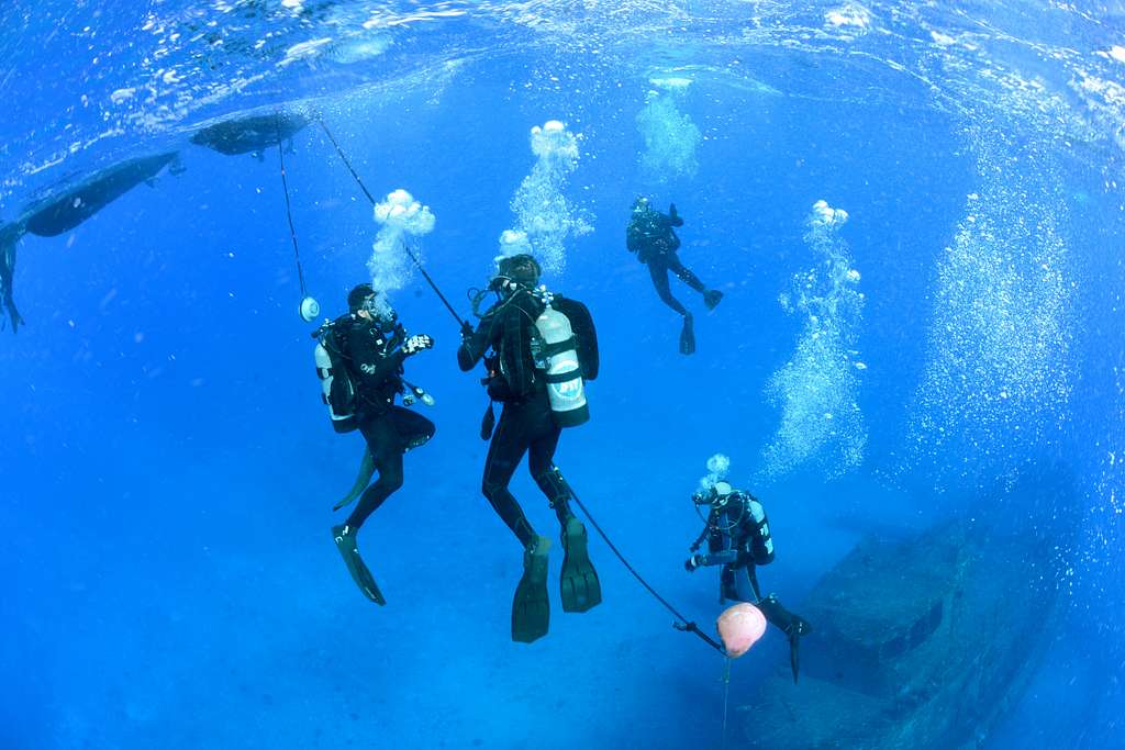 Divers under the sea
