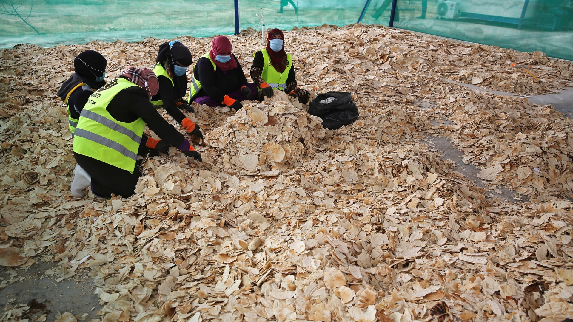 Women break up stale bread for a program creating animal feed from food waste.