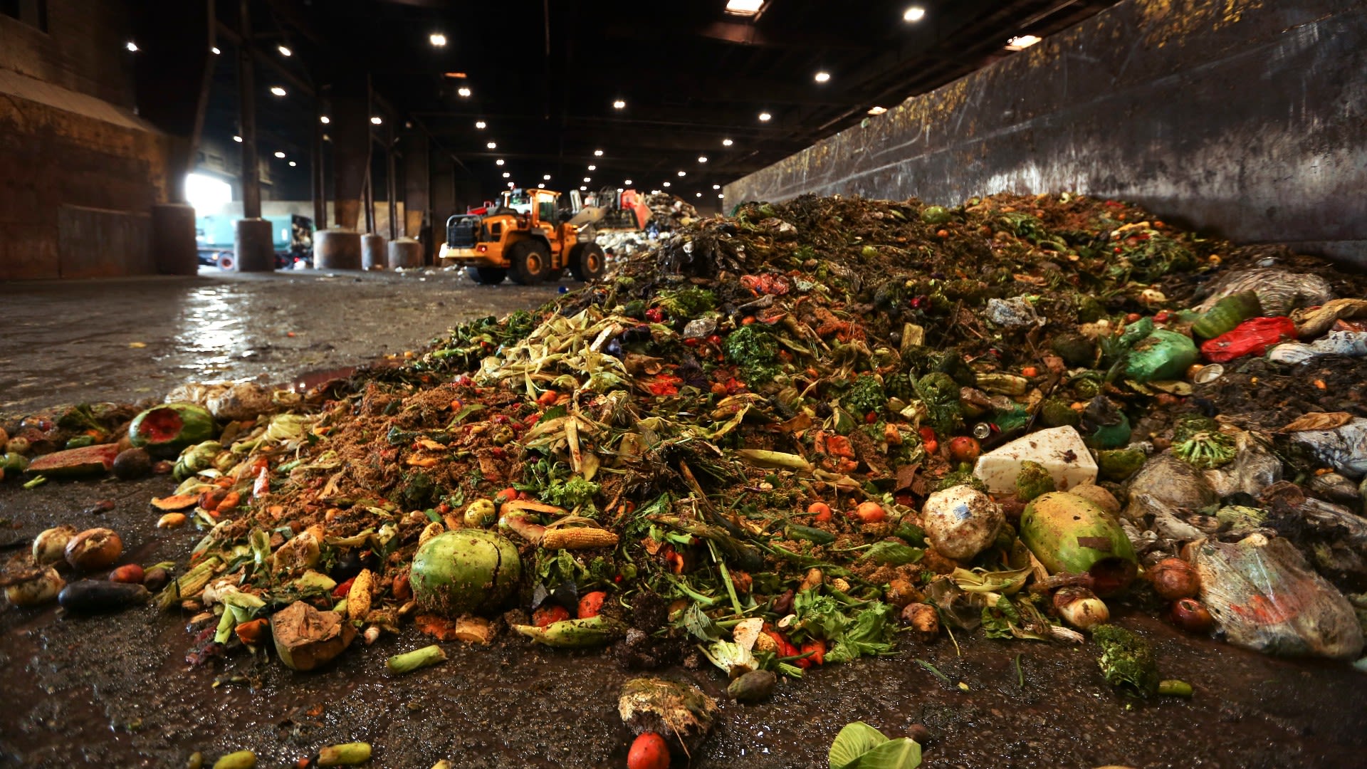 An astonishing amount of food is simply thrown away.
